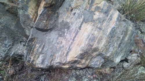 Гигантские зелёные валуны для ландшафтного дизайна весом более 5 тонн купить в Кировграде